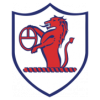 https://img.wybxg.com/img/football/team/11fb72f7b5eacfc881ee11bac75871fa.png