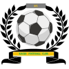 https://img.wybxg.com/img/football/team/6dc6d59af2f0962597b412473a6708ee.png