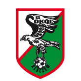 https://img.wybxg.com/img/football/team/e6a8908dd206e2ea02d9803c82c60bba.png